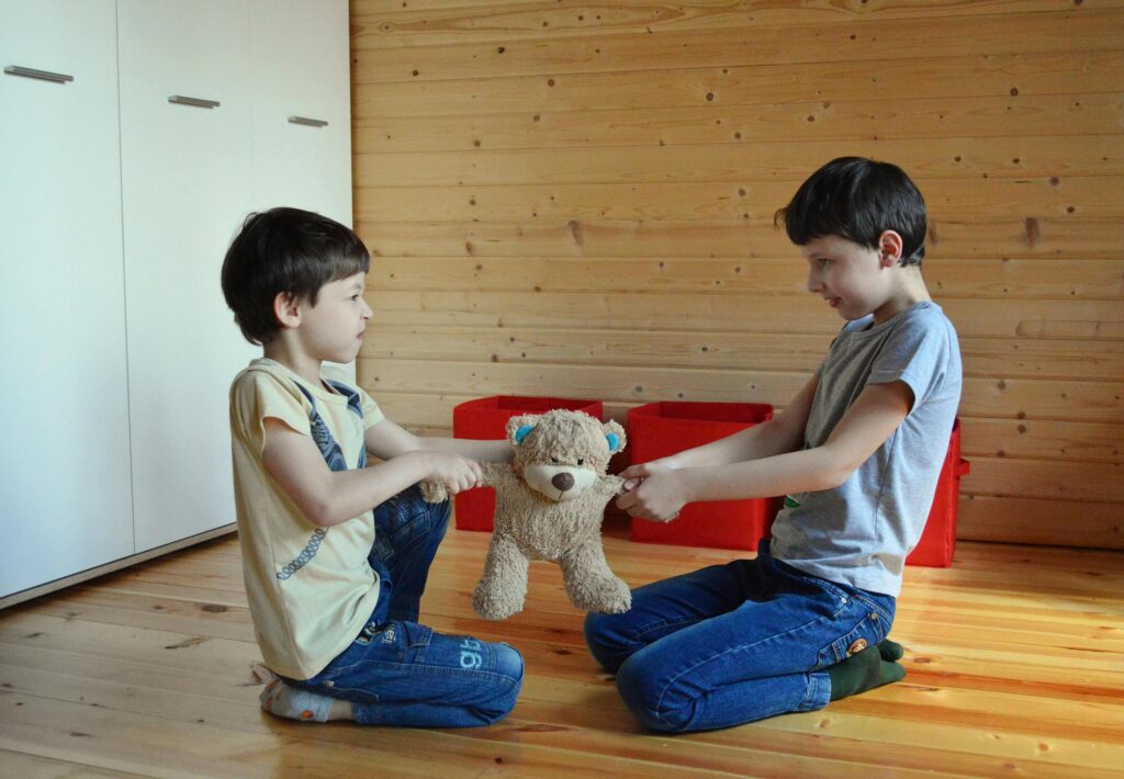 동생 장난감을 몰래 차지하는 행동, 경쟁심의 심리학적 해석